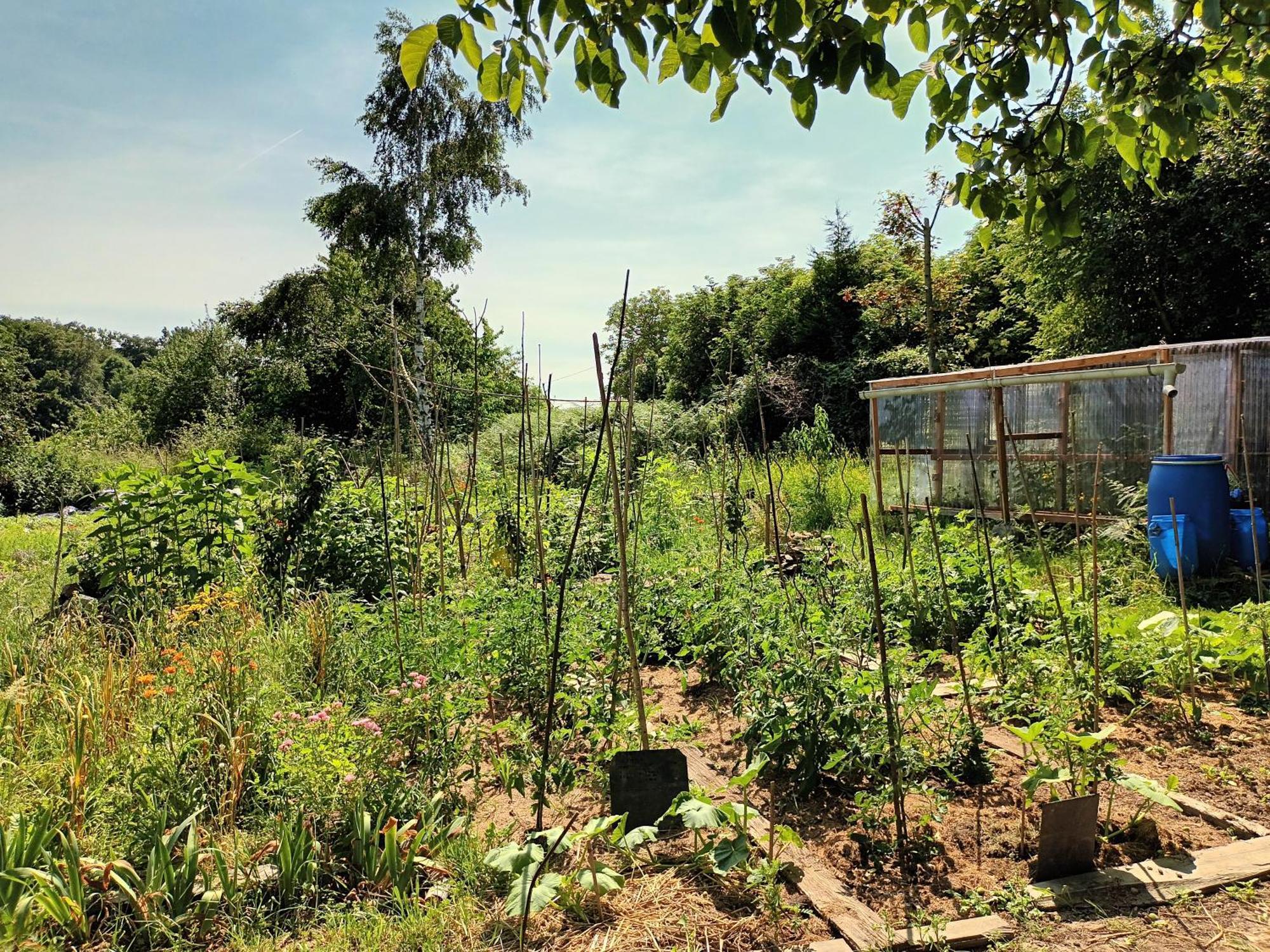Agritourisme Abae Bed & Breakfast Sougéal Dış mekan fotoğraf